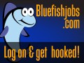 BluefishJobs